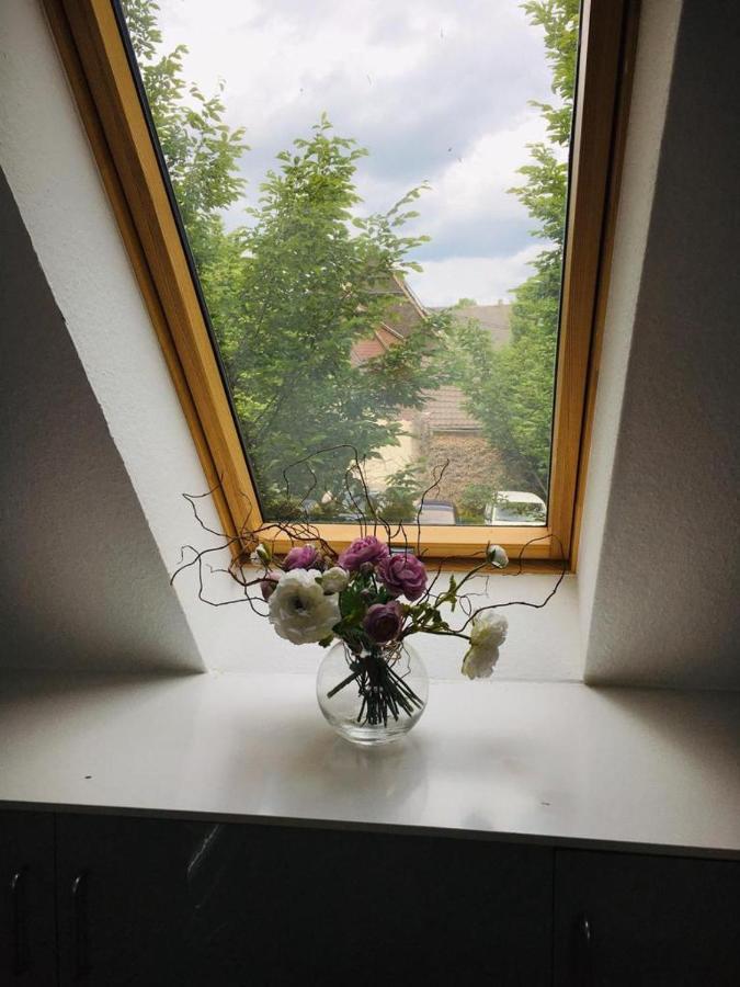 Rheingau - Schoene Moeblierte Ferienwohnung Eltville am Rhein Exteriör bild